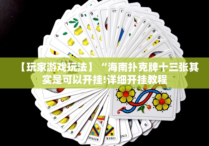 【玩家游戏玩法】“海南扑克牌十三张其实是可以开挂!详细开挂教程 【玩家游戏玩法】“海南扑克牌十三张其实是可以开挂!详细开挂教程