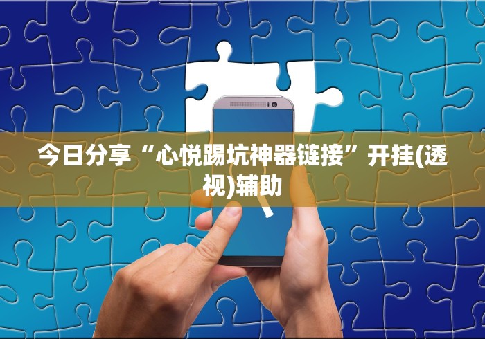 今日分享“心悦踢坑神器链接”开挂(透视)辅助