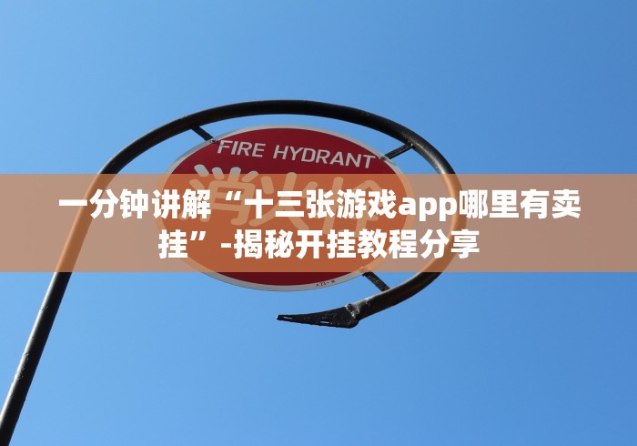 一分钟讲解“十三张游戏app哪里有卖挂”-揭秘开挂教程分享