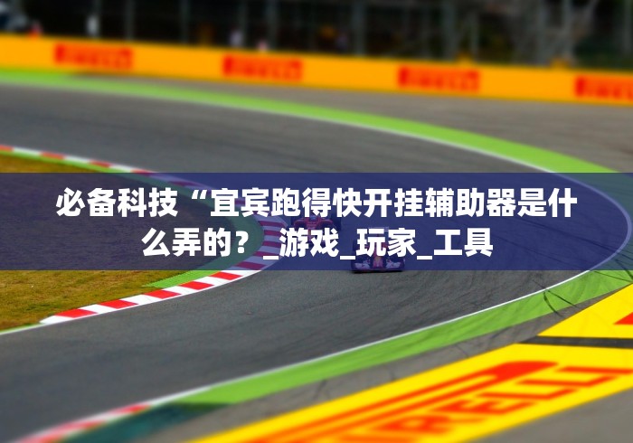 必备科技“宜宾跑得快开挂辅助器是什么弄的？_游戏_玩家_工具