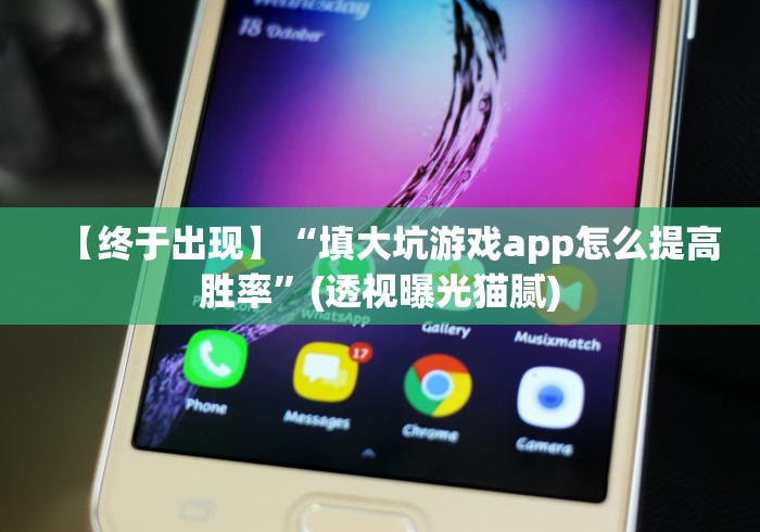 【终于出现】“填大坑游戏app怎么提高胜率”(透视曝光猫腻)