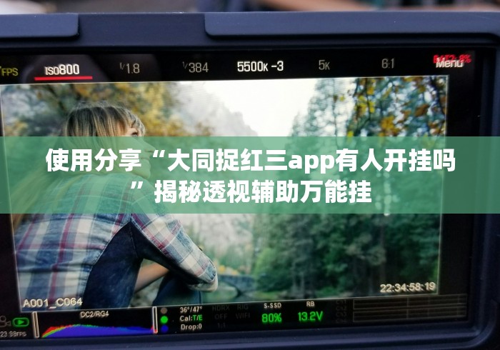 使用分享“大同捉红三app有人开挂吗”揭秘透视辅助万能挂