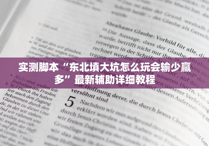 实测脚本“东北填大坑怎么玩会输少赢多”最新辅助详细教程