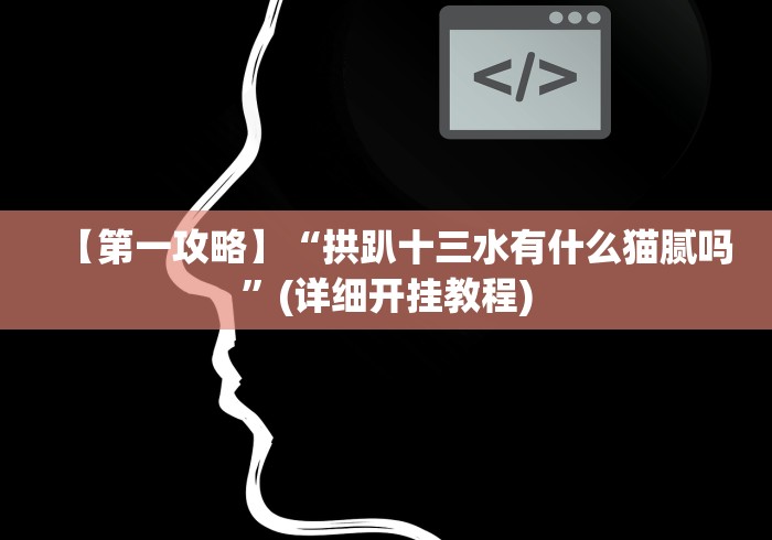 【第一攻略】“拱趴十三水有什么猫腻吗”(详细开挂教程)