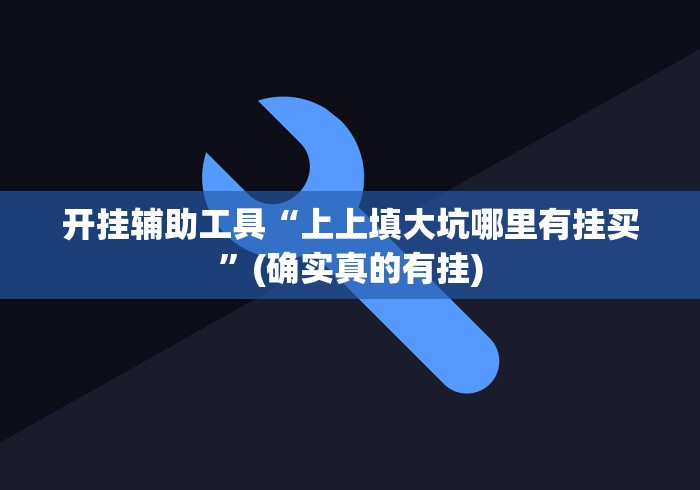 开挂辅助工具“上上填大坑哪里有挂买”(确实真的有挂)