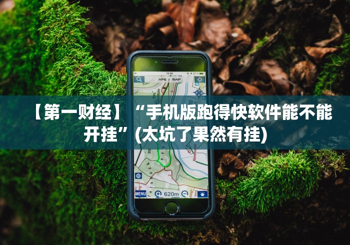 【第一财经】“手机版跑得快软件能不能开挂”(太坑了果然有挂)