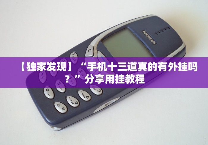 【独家发现】“手机十三道真的有外挂吗？”分享用挂教程