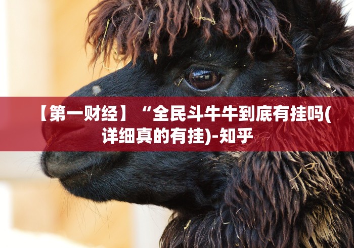 【第一财经】“全民斗牛牛到底有挂吗(详细真的有挂)-知乎