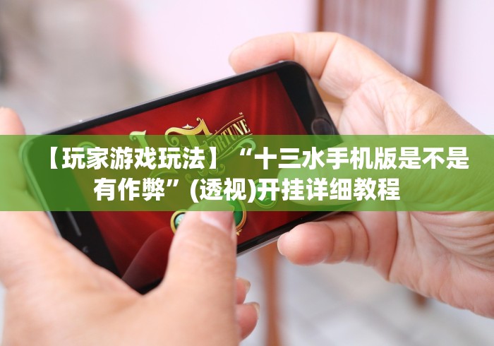 【玩家游戏玩法】“十三水手机版是不是有作弊”(透视)开挂详细教程
