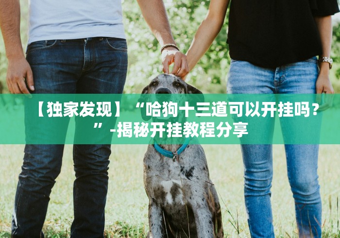 【独家发现】“哈狗十三道可以开挂吗?”-揭秘开挂教程分享 【独家发现】“哈狗十三道可以开挂吗?”-揭秘开挂教程分享