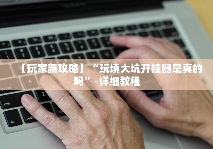 【玩家新攻略】“玩填大坑开挂器是真的吗”-详细教程