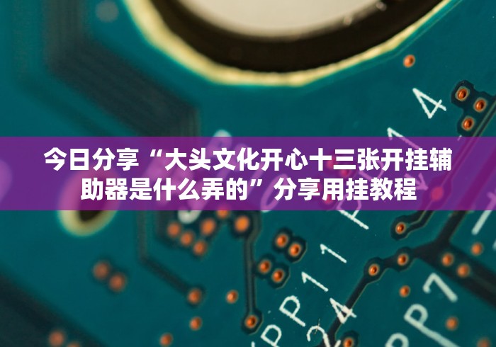 今日分享“大头文化开心十三张开挂辅助器是什么弄的”分享用挂教程