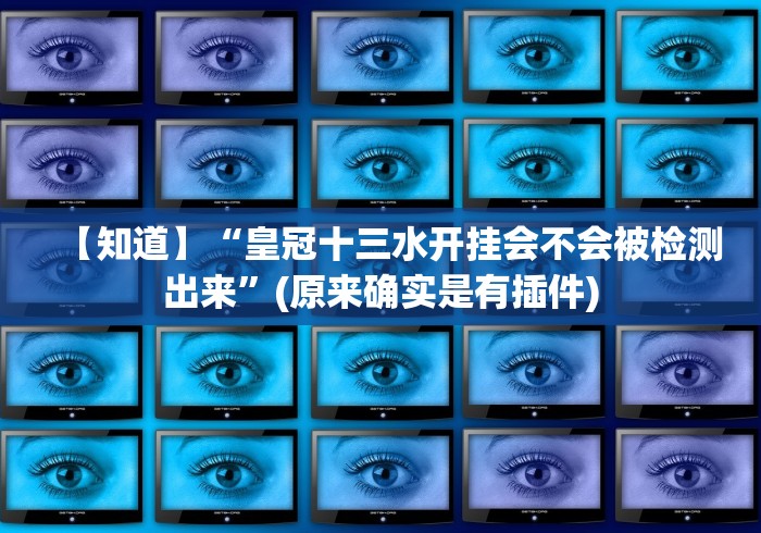 【知道】“皇冠十三水开挂会不会被检测出来”(原来确实是有插件)