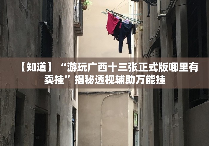 【知道】“游玩广西十三张正式版哪里有卖挂”揭秘透视辅助万能挂