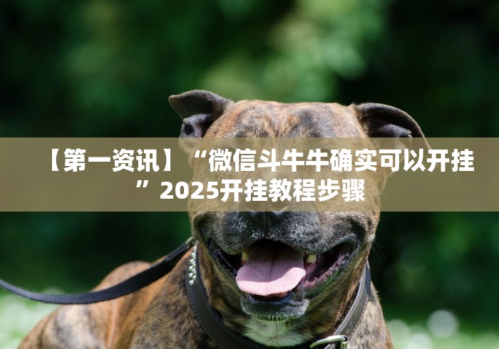 【第一资讯】“微信斗牛牛确实可以开挂”2025开挂教程步骤 【第一资讯】“微信斗牛牛确实可以开挂”2025开挂教程步骤